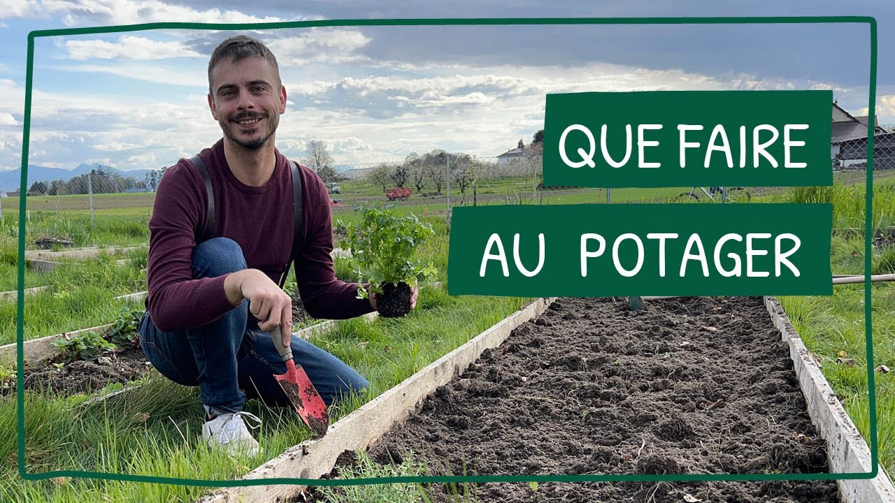 Les Saints de glace arrivent : ce que vous devez faire au potager