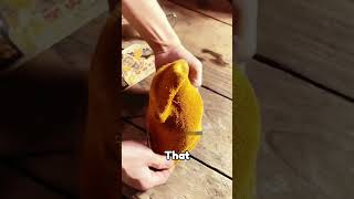 The Traditional Hot Water Bottle Of 80S