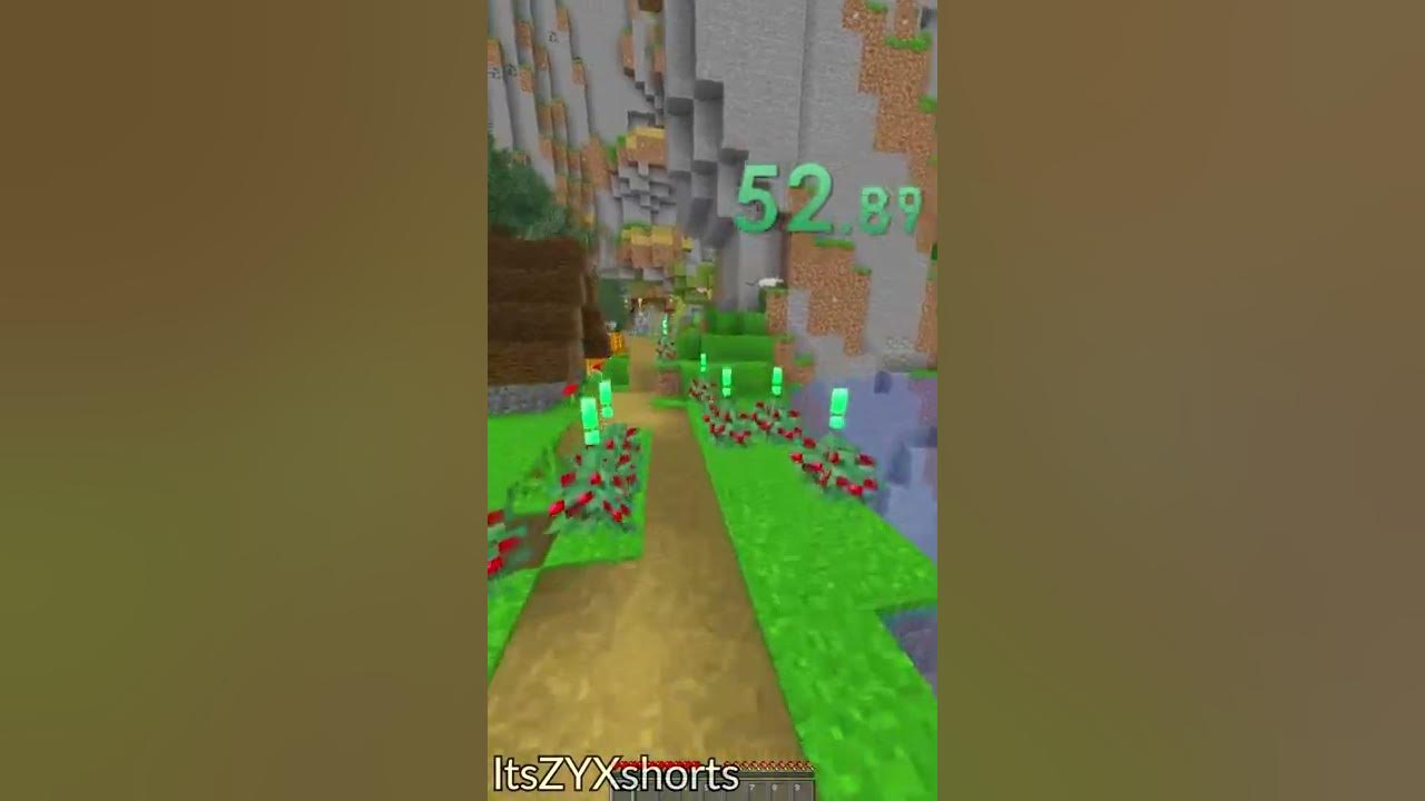 Skyblock SpeedRun - Avomance