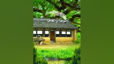 وقضى ربك ألا تعبدوا إلا إياه وبالوالدين إحسانا /الشيخ محمد صديق المنشاوي يبدع بتلاوة هادئة@