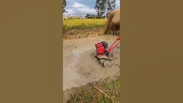 Modern Agricultural Innovation For Plowing Rice Fields Is Very Efficient and Practical #shorts