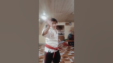 blocking with vertical punch Short video #hanseipmvlog