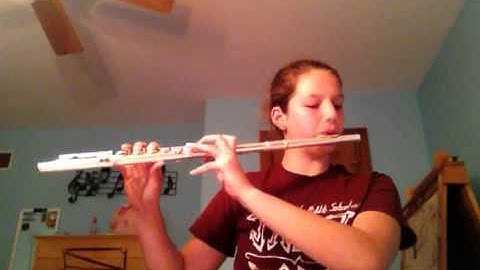 Nineteen Duos : Devienne 1st part