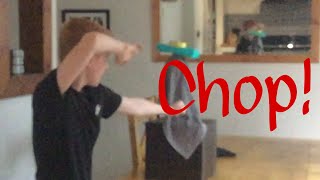 Miyagi-do chopping big old stack (super slow -mo)😱