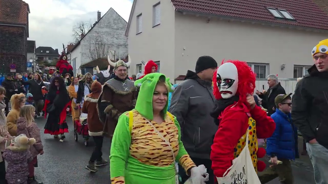 Faschingsumzug in Heegheim 2026