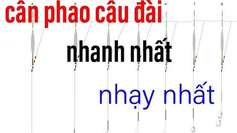 cách cân phao câu đài đơn giản nhất cho người mới nhập môn - tập câu đài - fishing