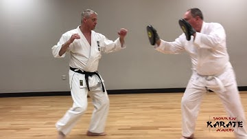 Low Block Kihon Combination Pad Drill