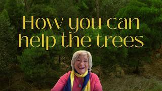 How you can help the trees