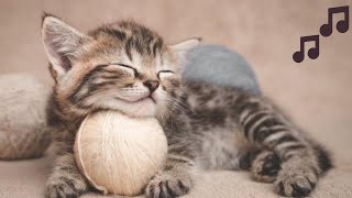 🐈‍⬛ Relaxing and calming cat music 🐈 by Angelic Music Meditation AMM 102 views 9 days ago 3 hours