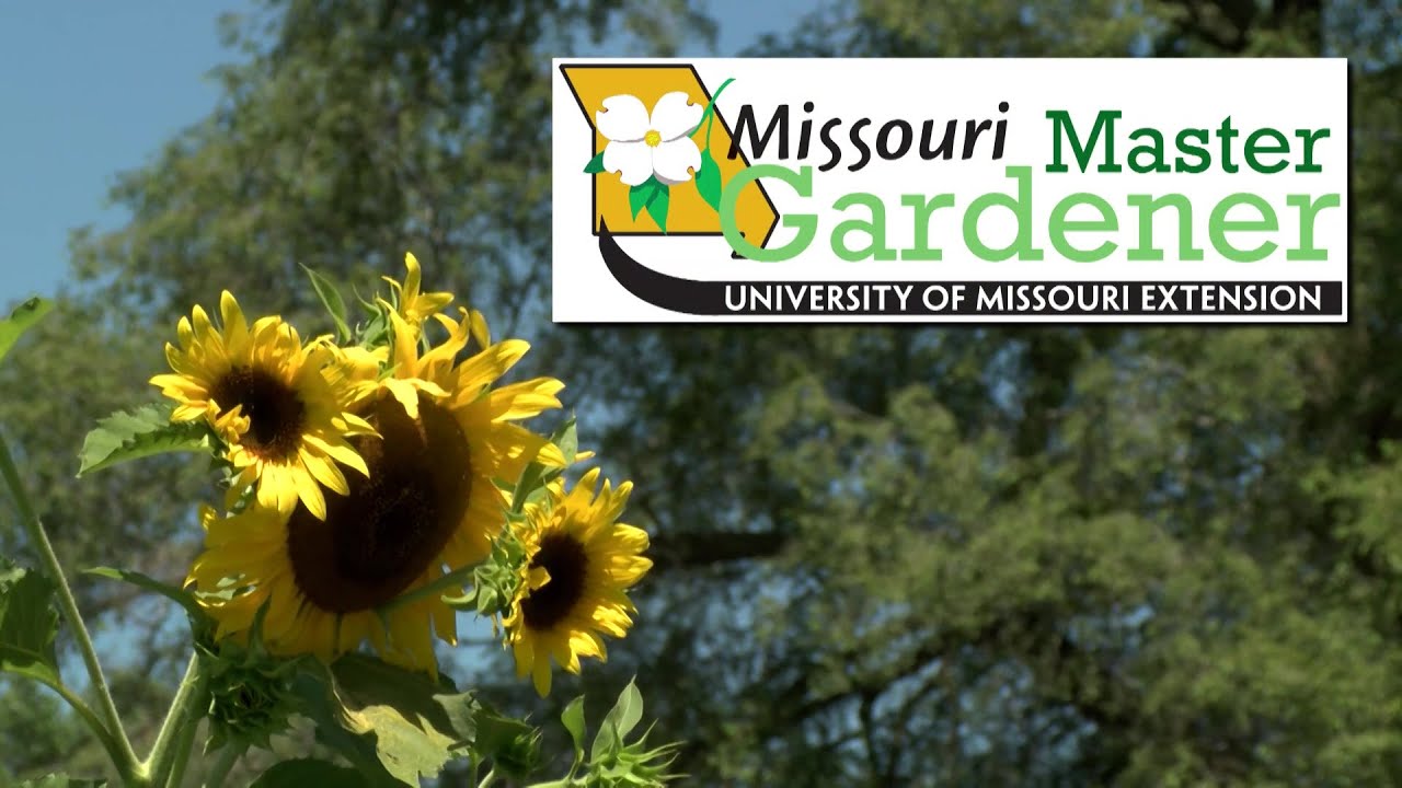 University of Missouri Extension_Missouri Master Gardener Program YouTube