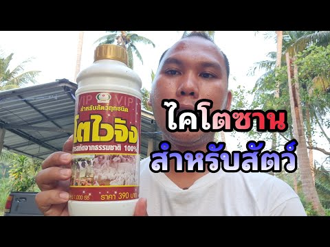 รีวิว&แนะนำ ไคโตซานสำหรับสัตว์ (โตไวจัง) |เกษตรบ้านบ้าน