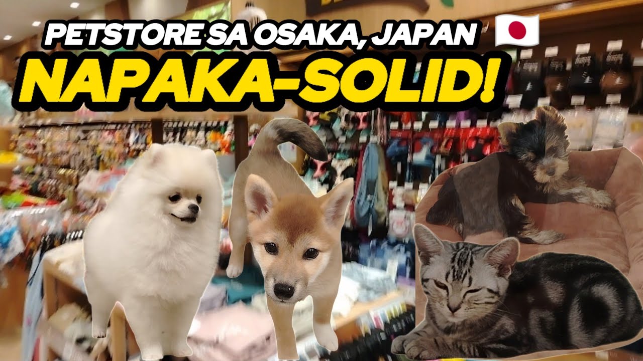 SOBRANG GANDANG PET STORE SA OSAKA, JAPAN | JULY 18, 2025