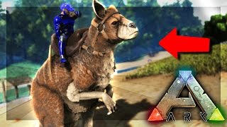 ARK: Survival Evolved Server - WE GOT A KANGAROO!! #43