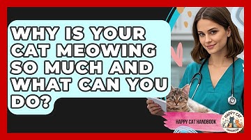 Why Is Your Cat Meowing So Much And What Can You Do? - Happy Cat Handbook