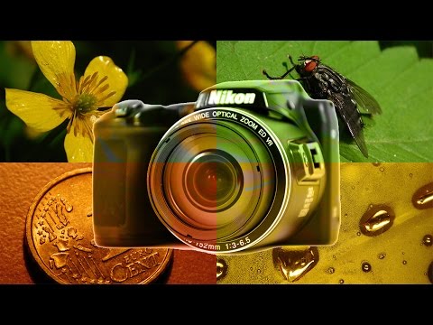 Nikon Coolpix L840 Macro Shots (4K available)