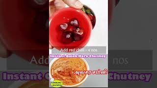 Quick Chutney
