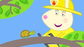 Tortuga Atascada En El Árbol Peppa Pig En Español Episodios Completos