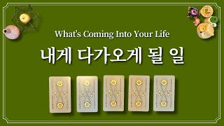 내가 곧 겪게될 일을 1장의 카드를 선택 후 확인해보세요.