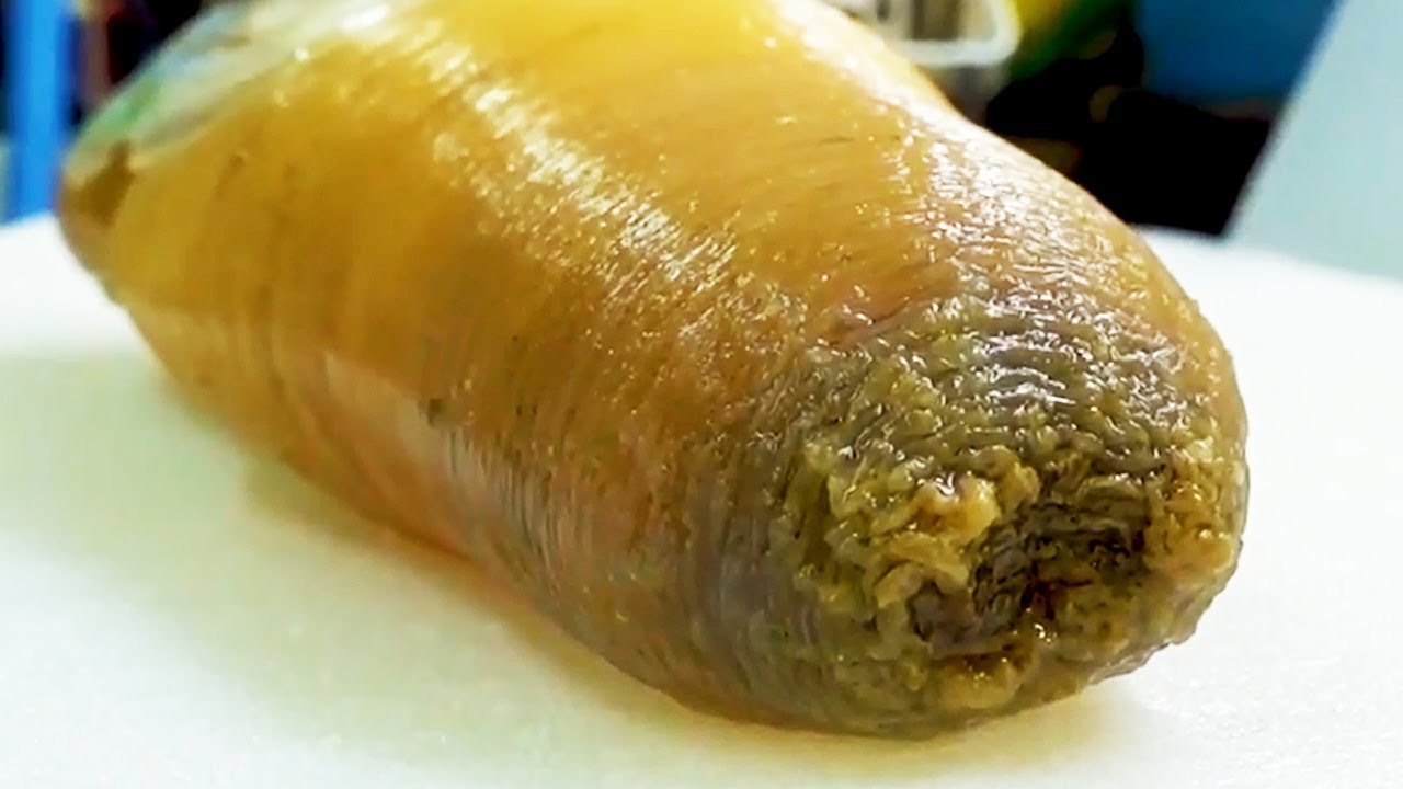 FLABBY SEA MONSTER! Geoduck Sashimi - Japanese Street Food in Okinawa