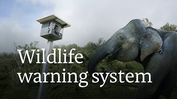 Can solar fences stop human-elephant conflict in India?