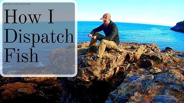 How to Dispatch a Fish