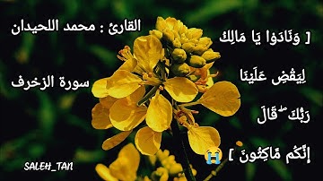 "ونادوا يا مالك ليقضِ علينا ربك | تلاوة من سورة الزخرف القارئ محمد اللحيدان @Mohammed_AlLuhaidan"