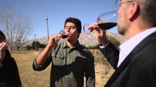 San Juan, tierra del Syrah - Argentina por vos