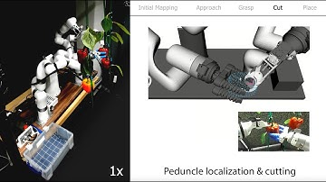 HortiBot: An Adaptive Multi-Arm System for Robotic Horticulture of Sweet Peppers, IROS