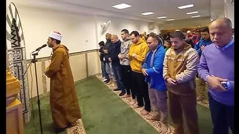 سورة الممتحنة كاملة | عبدالرحمن علام