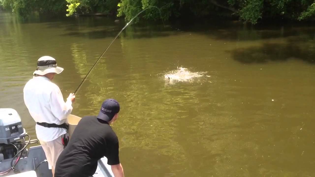 Fly fishing for smallmouth on the Delaware River YouTube
