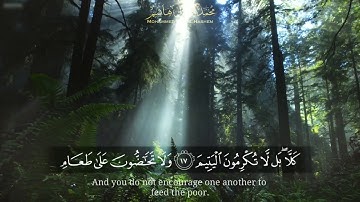 سورة الفجر للقارئ محمد كمال هاشم - Al-Fajr for The Reader Mohammed Kamal Hashem