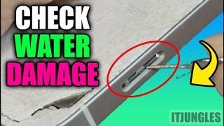 How to Check Water Damage Indicator on iPhone 12 (2026 Update)
