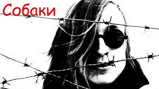 картинка: Егор Летов - Собаки