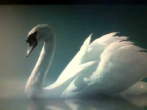 ნინო კემულარიას პოეზია  ლექსი როგორ გავუძლო