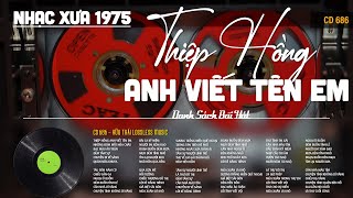 [CD686] Mở Nhẹ Nhàng Lk Nhạc Vàng Hải Ngoại Xưa Bất Hủ Còn Mãi Theo Thời Gian| Hữu Thái Lossless