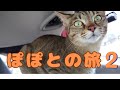 ぽぽとの旅 徳島②