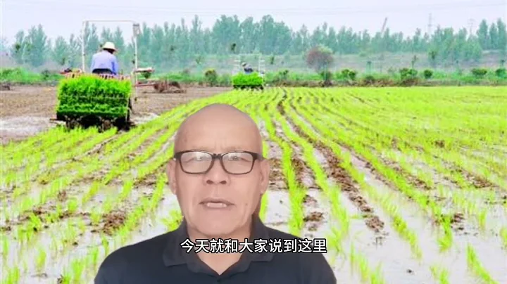 談談當年的公糧：農業稅：議價糧：賣餘糧等 - 天天要聞