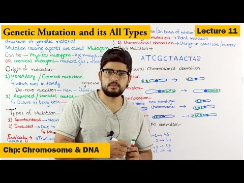 वीडियो: क्या प्रतिलेखन में उत्परिवर्तन हो सकता है?