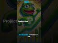 #PEPE the Meme Coin #PEPE