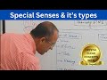 Differentiating Special Senses From General Senses in Human Biology