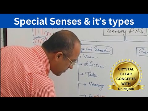 Special Senses &