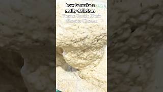 Cashew Ricotta That Actually Tastes Good #plantbased #cheese #hack