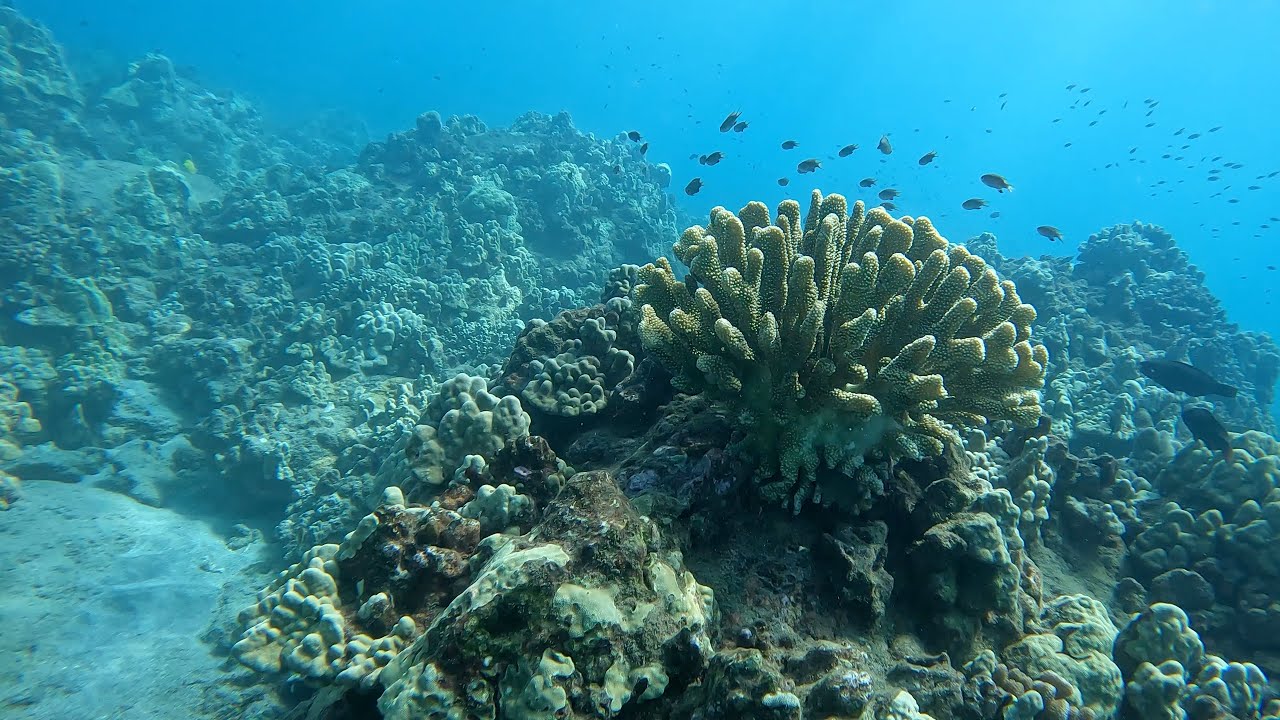 Maui & Lanai with the Ohana, October 2022 YouTube