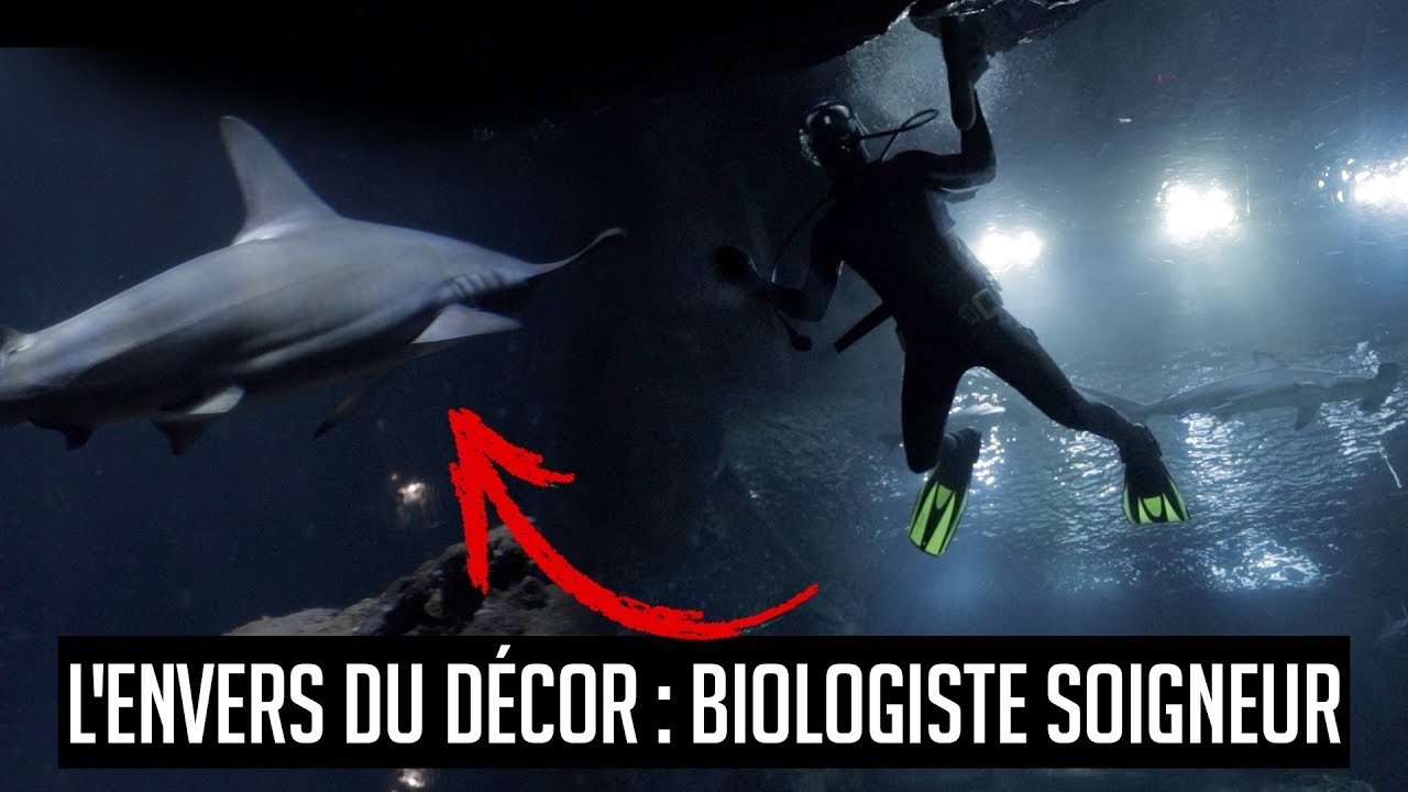 UNE JOURNÉE AVEC #4 : UN BIOLOGISTE SOIGNEUR EN AQUARIUM