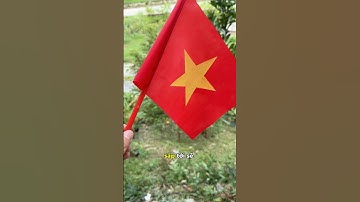 Cờ đỏ sao vàng cờ vẫn concert quốc gia 🇻🇳 #thienmink1 #covietnam #vietnam #shorts #cotoquoc