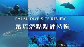 帛琉潛點評論 | 帛琉這邊值得去潛嗎｜經典潛點大公開 | 跟著洋流去玩水 | Palau Scuba Diving Trip