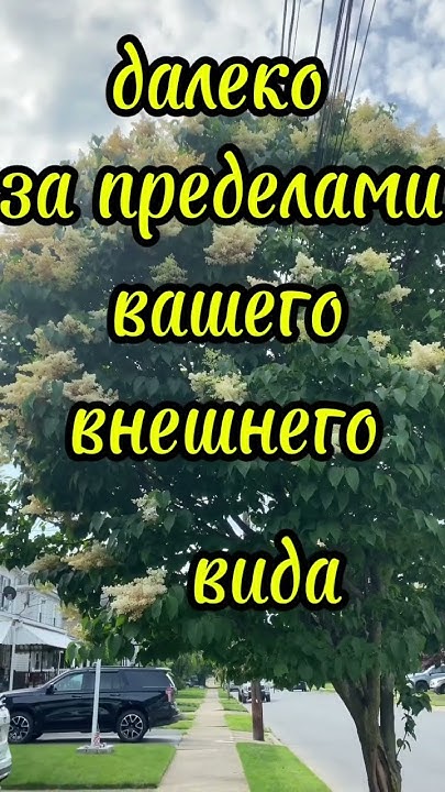 Мудро сказано! - YouTube