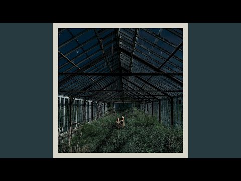 Glass Coughs - Foxing