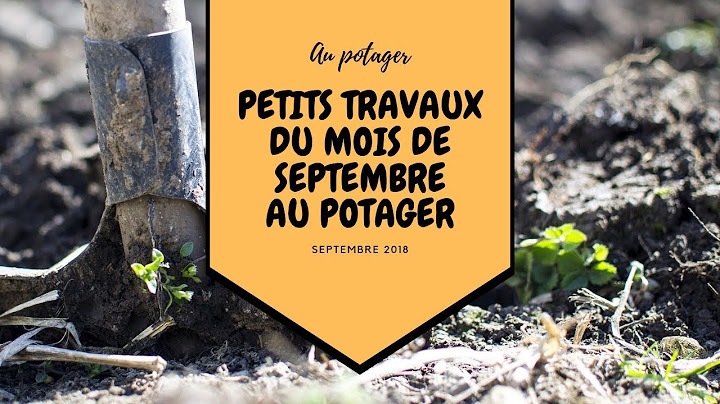 Petits travaux du mois de septembre au potager