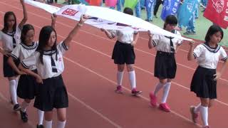 20171118大甲區文昌國小校慶運動會 16會旗進場